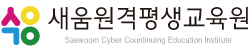 주식회사 새움아트